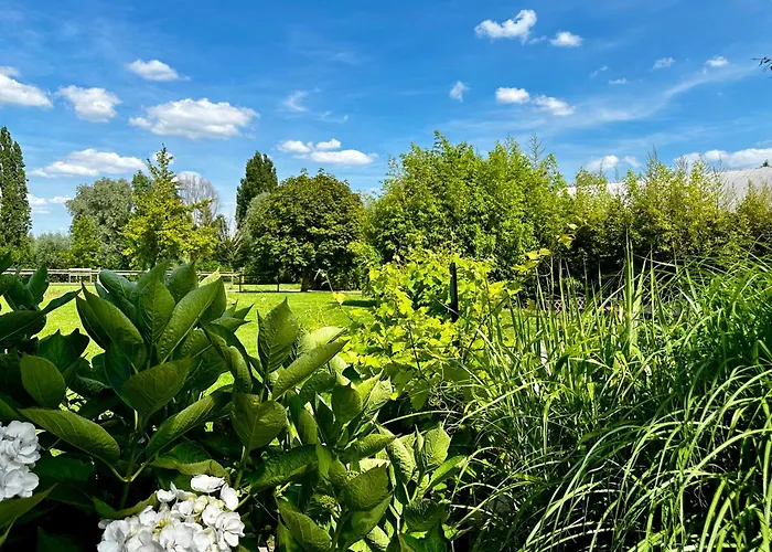 Villa Zi - Les Jardins D'ilona *